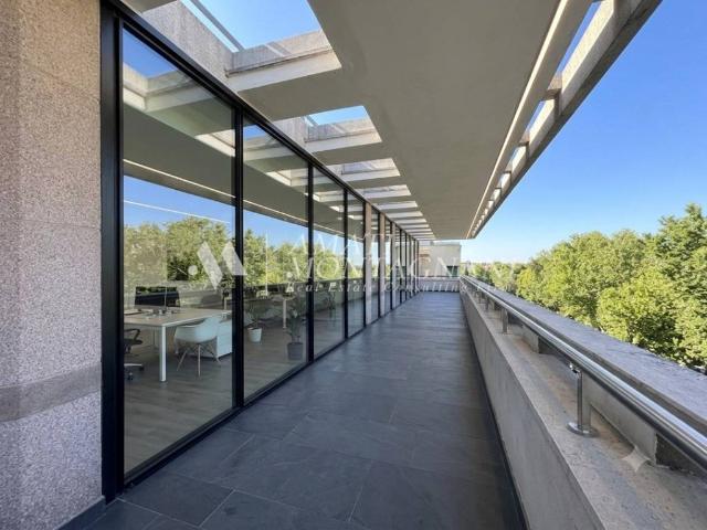 Stabile/palazzo in affitto a Roma via Fornovo, 8, Prati
