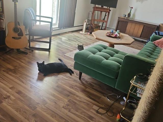 Stacey Has an Apartment