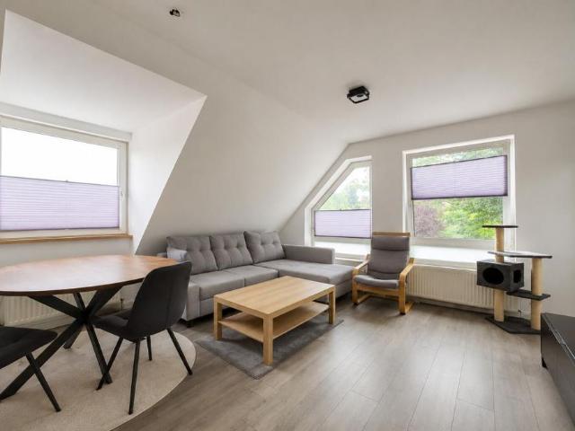 Stade Campe: Helle 2 Zimmer Dachgeschosswohnung mit Balkon an Single zu vermieten!