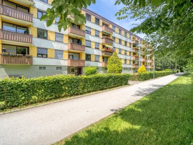 Stadt Rose
