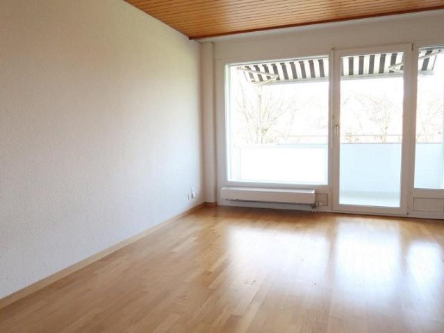 Stadtnah und doch im Grünen!
