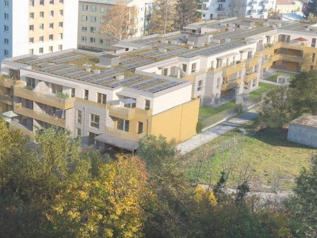 Stadtgarten. Eigentumswohnungen am Rathauspark Schwechat