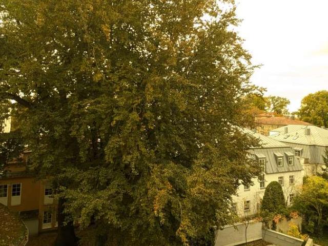 Stadtwohnung mit Balkon: 2 Zimmer Domizil in Augsburg