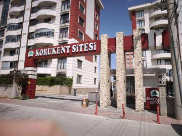 Kerem Sokak, Parsana Mahallesi, Parsana Mah , Konya, Konya ili, İç Anadolu Bölgesi