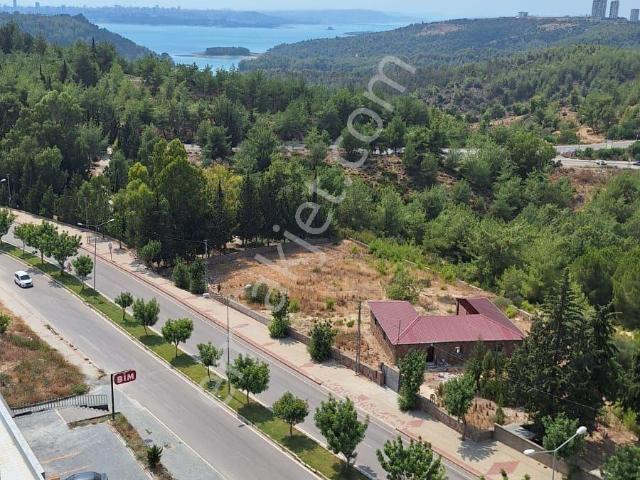 Stadyumun Yanında Göl Manzaralı 1+1 Lüx Eşyalı Kiralık Daire