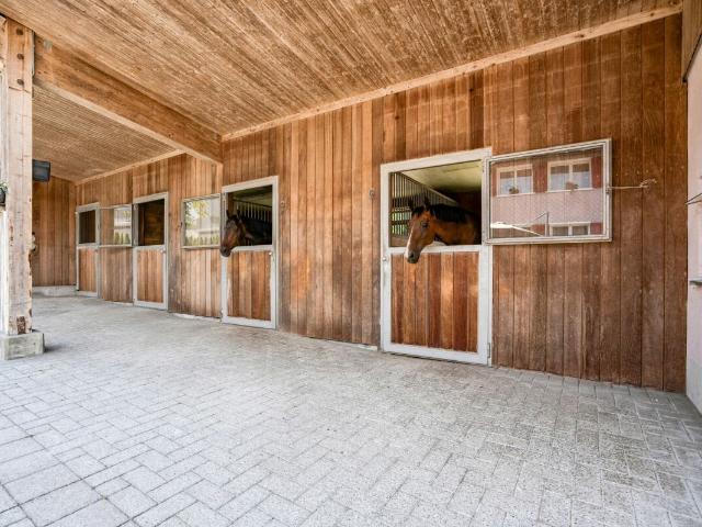 Stall, Reitplatz und Führanlage sowie Weiden direkt am Haus