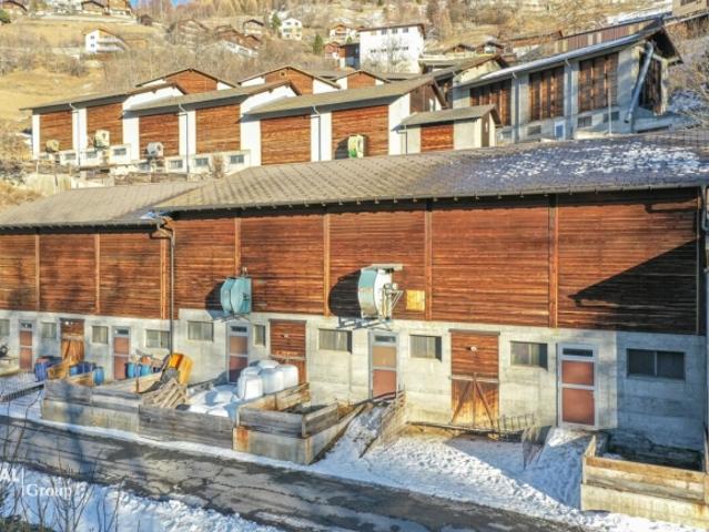 Stall, Scheune und Garage an schöner Lage
