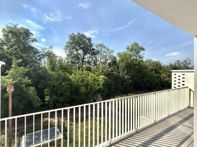 STAMMERSDORFER RUHELAGE: MODERNE 2 ZIMMER WOHNUNG MIT NEUER KÜCHE, LOGGIA & TERRASSE ZU MIETEN!