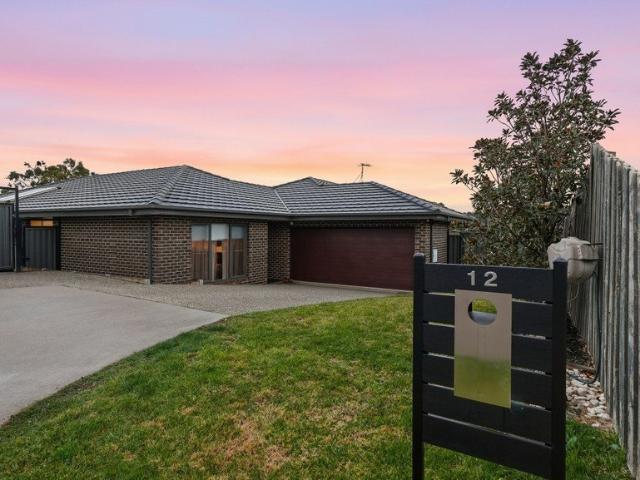 Standout Family Home on 1049m2