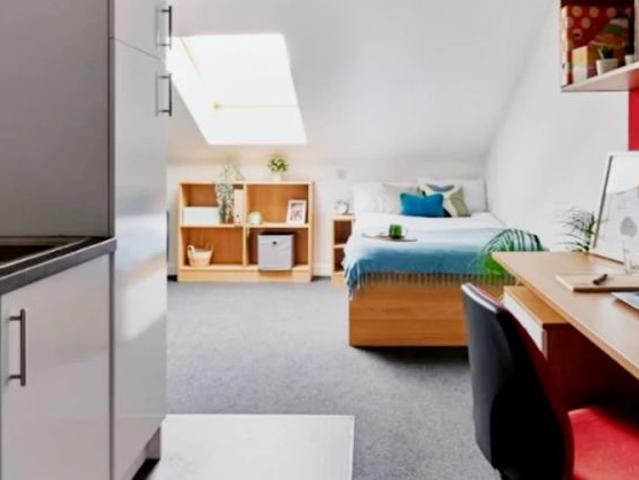 Standard Plus Studio