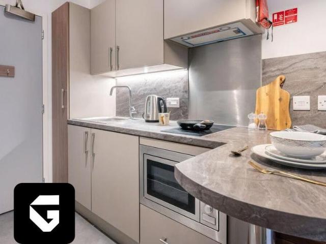Standard Studio 1 bed detached house to rent £1,452 pcm £335 pw