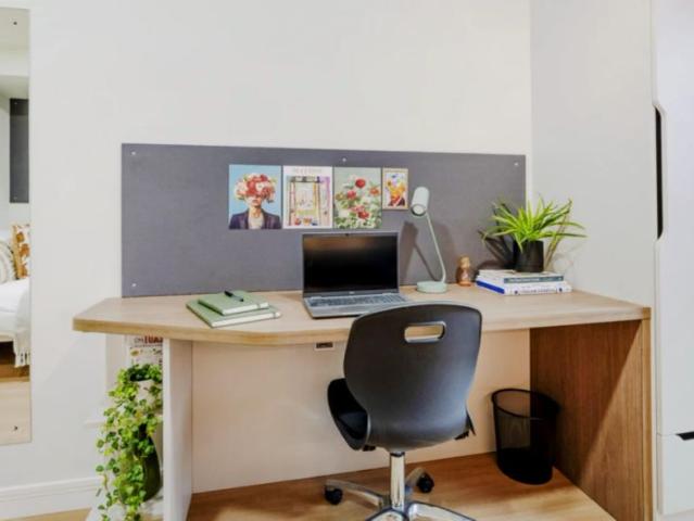 Standard Studio