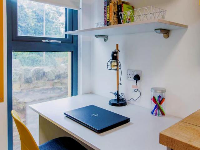 Standard Studio