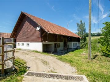 Stark renovationsbedürftiges Bauernhaus mit Ökonomieteil in der Landwirtschaftszone
