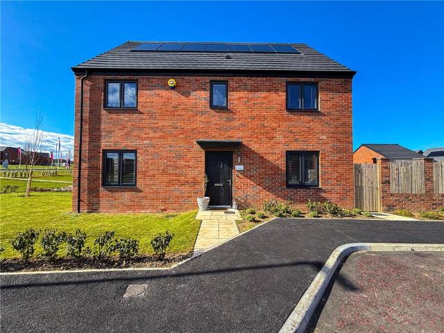 Starling Way, Cold Hesledon SR7 4 bed detached house to rent £1,900 pcm £438 pw