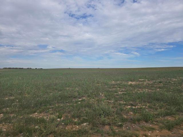 Cropping & Grazing Block