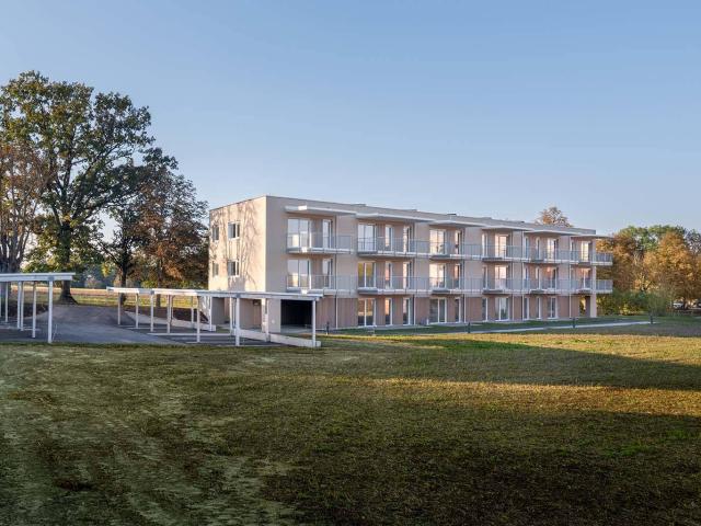 Starterwohnungen BEFRISTET Tolle 3 Zimmer Wohnung mit Küche, Balkon und Carportparkplatz geförderte Miete 3 Zimmer