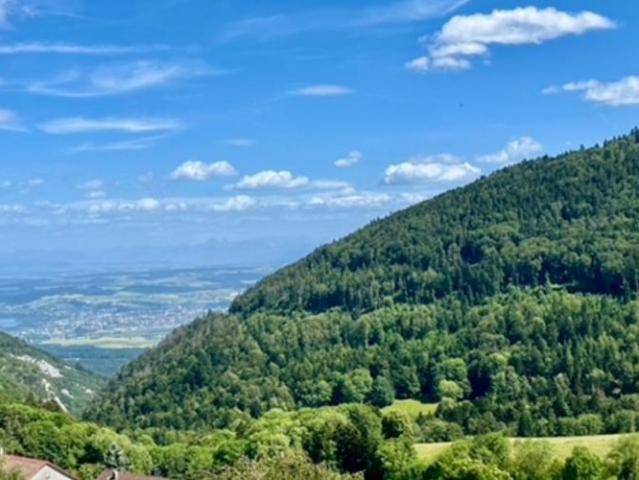 Ste croix – herrliche 4.5 Zimmer Maisonette Wohnung mit freier Aussicht