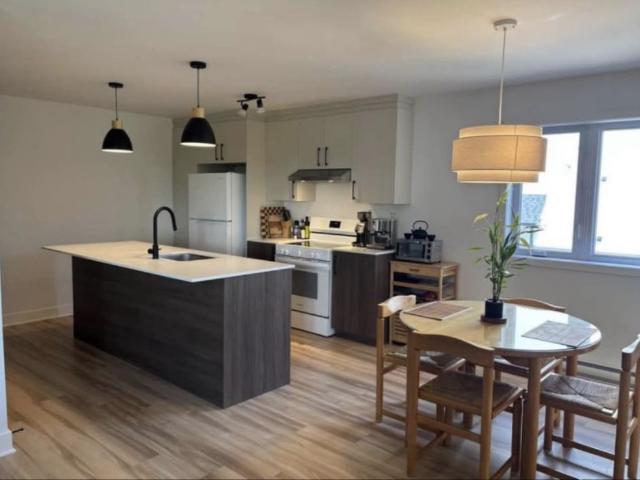 Ste Anne des Plaines Grand 4 1/2 Neuf à