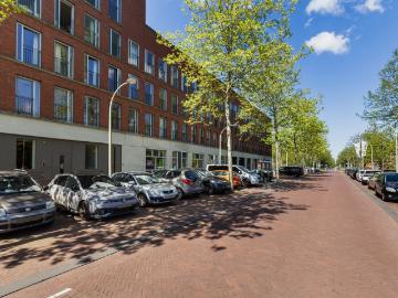 Steentijdsingel, Den Haag