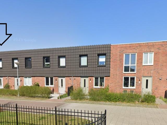 Steertweide 12