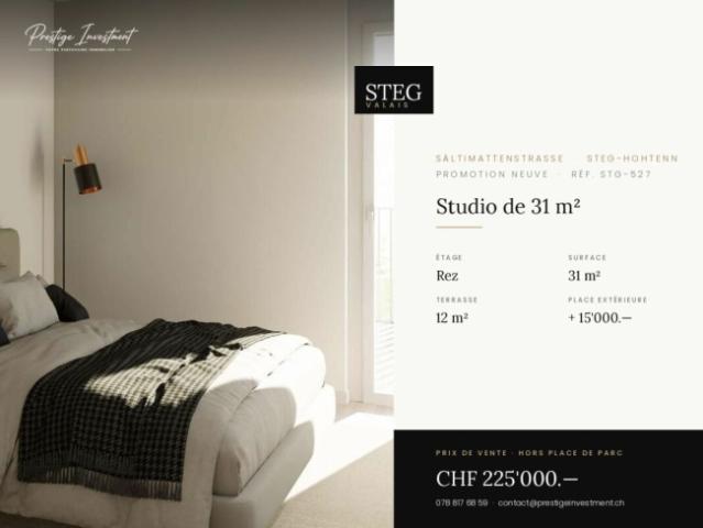 STEGref527 Eingeschossiges Studio, Terrasse, CHF 225.000