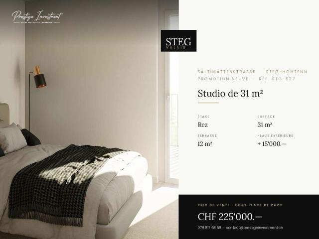 STEG STG 527 ? Studio de plain pied, terrasse, CHF 225'000