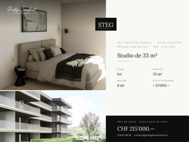 STEGref236 Zimmer 1,5 Studio · 33 m² mit Balkon von 215.000 CHF