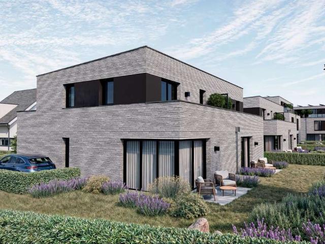 STEINBERG_GREEN_LIVING