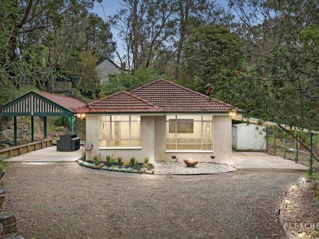 Step into Warrandyte