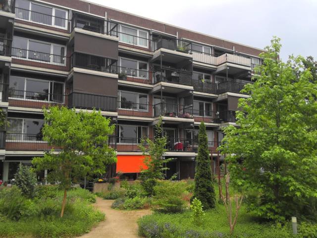 Sterrebos 285