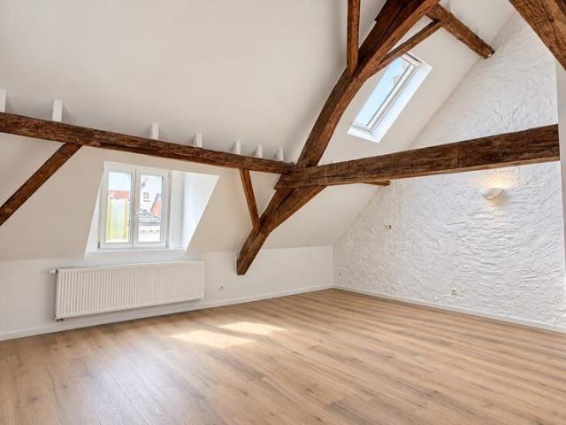 Stijlvol dakappartment Te Huur op toplocatie in centrum Lier