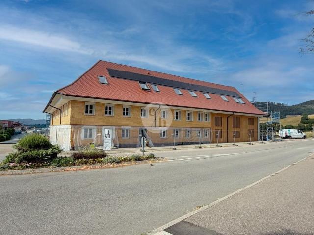 Stilvoll wohnen im denkmalgeschützten Hirschen 2 Zi. Wohnung zur Miete