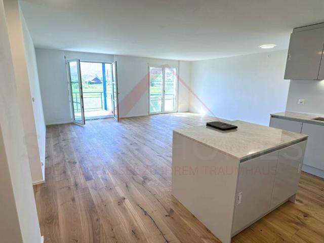 Stilvoll renovierte 3.5 Zimmer Wohnung mit Balkon am grünen Stadtrand von Solothurn