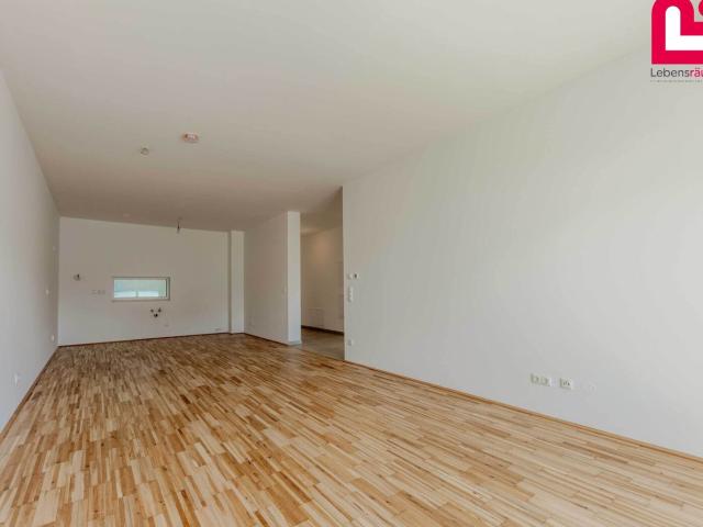 Stilvolle 3 Zimmer Dachterrassenwohnung mit Süd Ausrichtung & Weitblick in Tragwein Jetzt Preisreduziert!