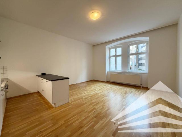 Stilvolle 2 Zimmer Altbau City Wohnung mit Küche und Gartennutzung Nähe Landstraße