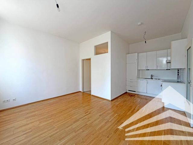 Stilvolle 2 Zimmer Altbauwohnung mit Küche Nähe Herz Jesu Kirche