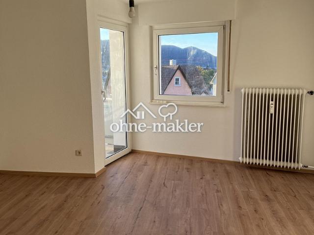 Stilvolle, neu sanierte 1 Zimmer Wohnung inkl. Balkon und EBK
