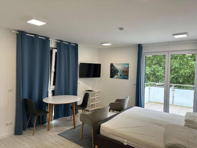 Stilvolle, neuwertige 1 Raum Wohnung mit gehobener Innenausstattung mit EBK in Riegel am Kaiserstuhl