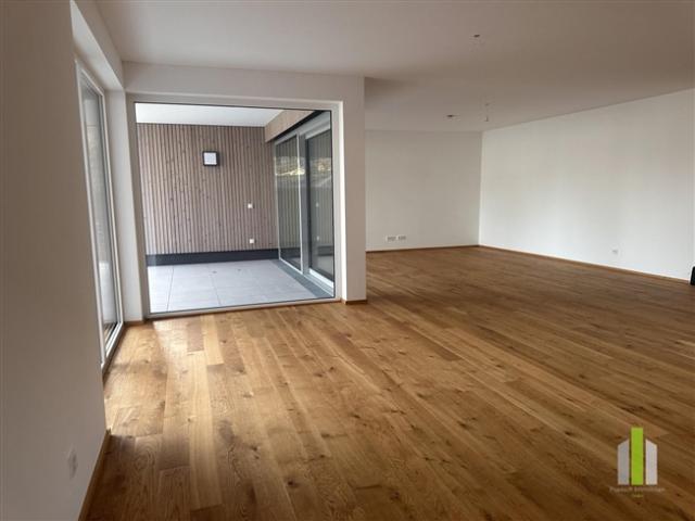 NEUER PREIS Moderne Terrassenwohnung in begehrter Seenähe