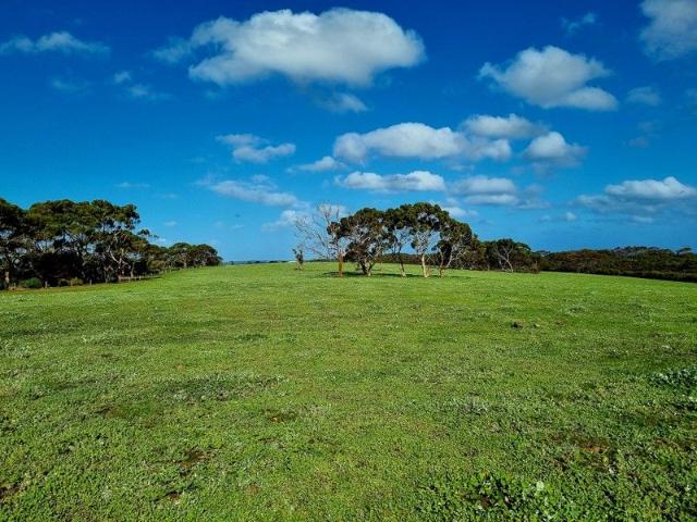 Where Coastal Wilderness Meets Working Farmland | Stirlings 406ha of Privacy, Productivity & Pristine Natural Beauty