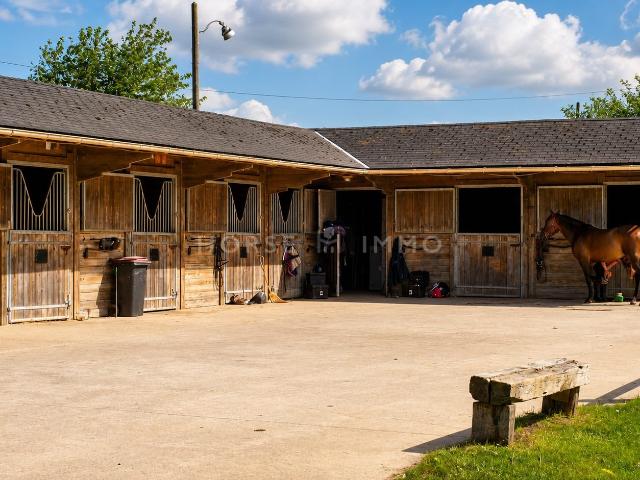 Structure équestre de qualité avec revenus locatifs Puchay 2. 200m² Puchay