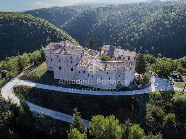 Strada provinciale 414 12 vani 1300mq
