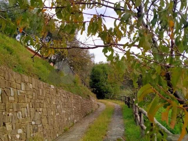 Strada Provinciale 9 5 vani 140mq