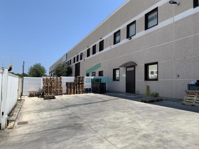 Strada Provinciale Modugno Bari 83 104 monolocale 600mq