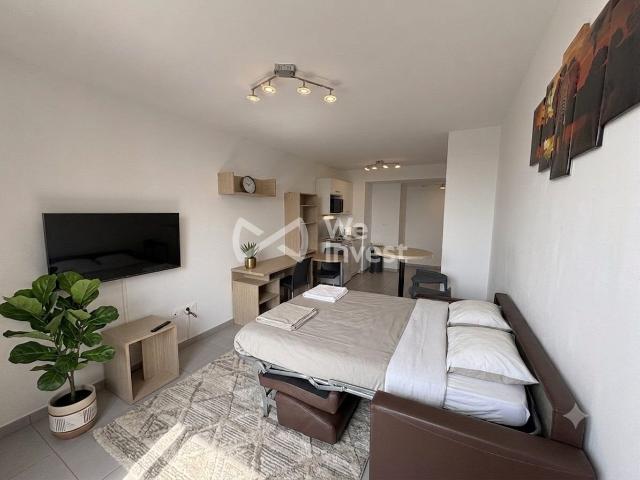 Strasbourg Centre Les Halles Studio Meuble 30m² Strasbourg