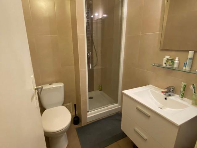 Strasbourg centre, Quai Turckheim, F1/2 Meublé 39 m2, ascenseur