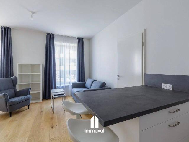 STRASBOURG T2 MEUBLE 43.78m²