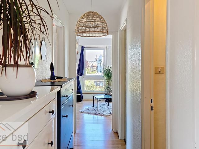 Strasbourg Vente Appartement 67