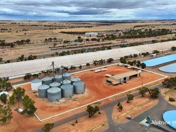 Merredin, Seal Island, Western Australia